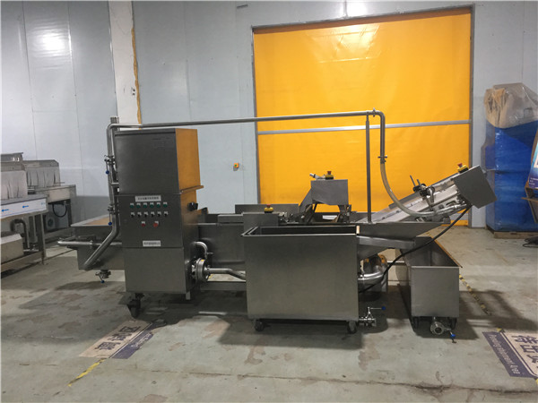 氣泡式蔬菜清洗機(jī)，有效清洗，過濾泥沙